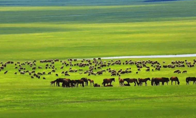 Зураг