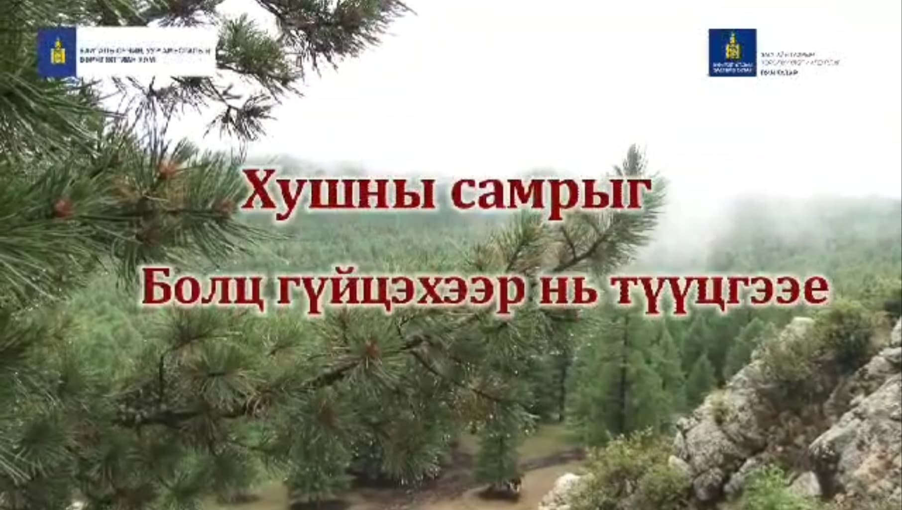 Зураг
