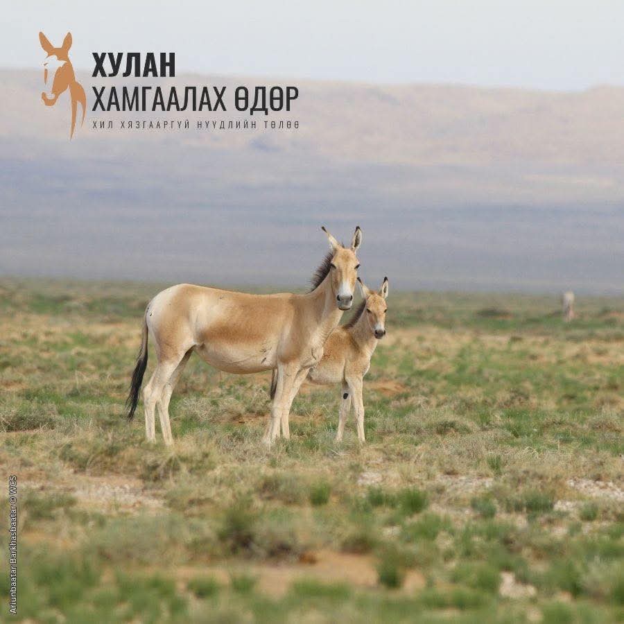 Зураг